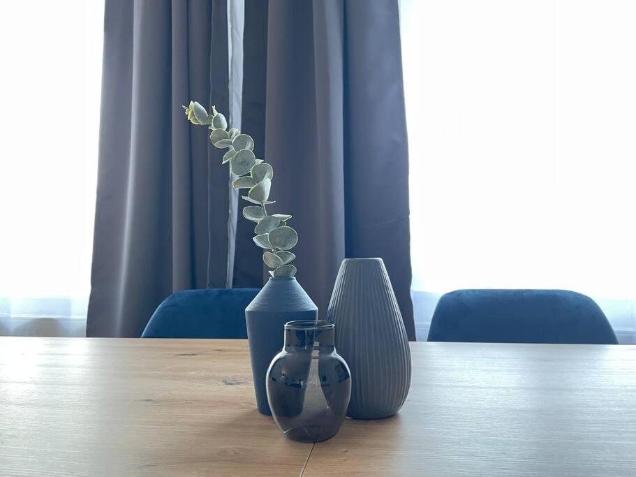 Lucky Stays Ls10 - Vollausstattung - Zentrum - Aufzug - Grosse Kueche - 2 Zimmer - Smart-Tv Magdeburg Dış mekan fotoğraf