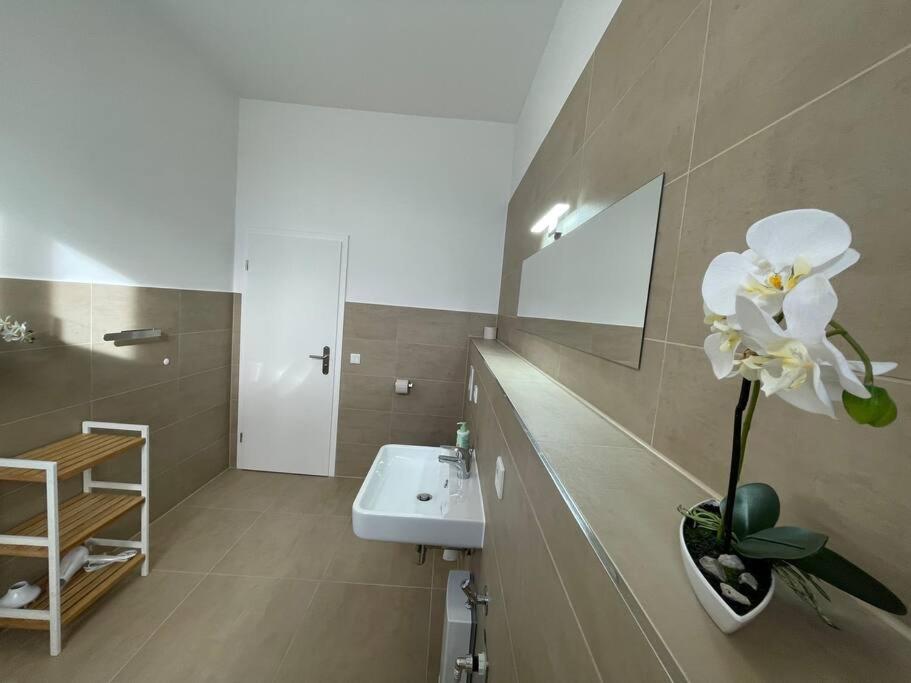 Lucky Stays Ls10 - Vollausstattung - Zentrum - Aufzug - Grosse Kueche - 2 Zimmer - Smart-Tv Magdeburg Dış mekan fotoğraf